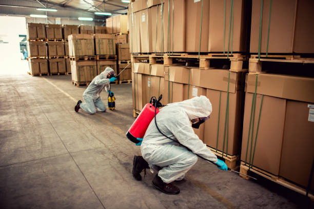 Best Pest Inspection Near Me  in Charleston, MO