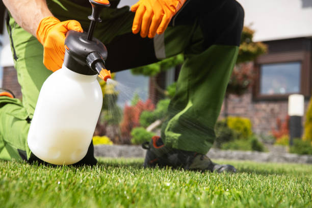 Best Affordable Pest Control Services  in Charleston, MO