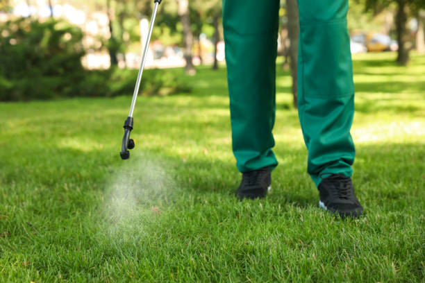 Pest Control for Restaurants in Charleston, MO