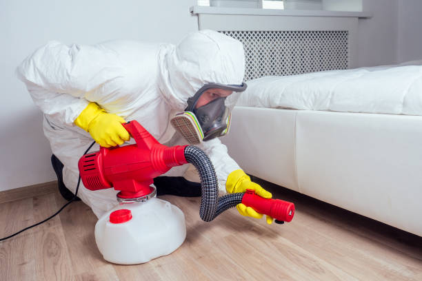 Best Mosquito Control Services  in Charleston, MO