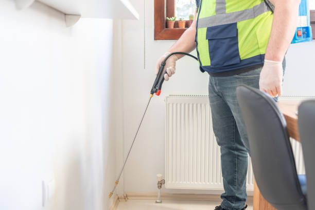 Best Flea Control Services  in Charleston, MO