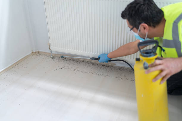 Best Best Pest Control Companies  in Charleston, MO