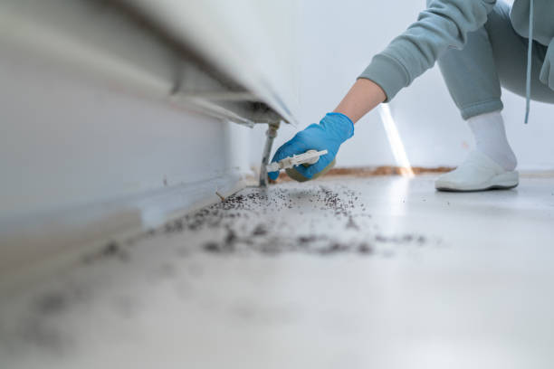 Best Exterminator Services  in Charleston, MO