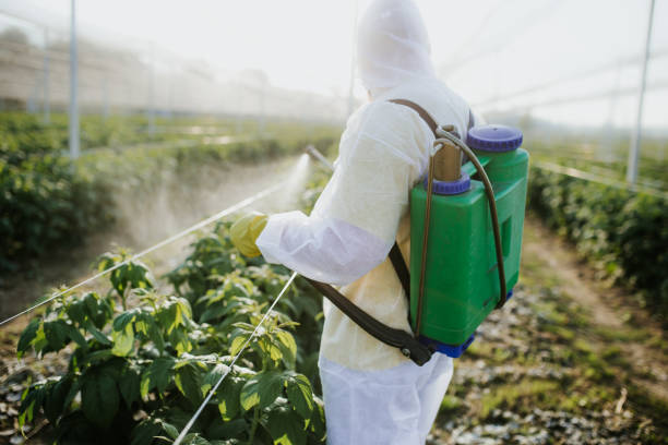 Best Emergency Pest Control  in Charleston, MO